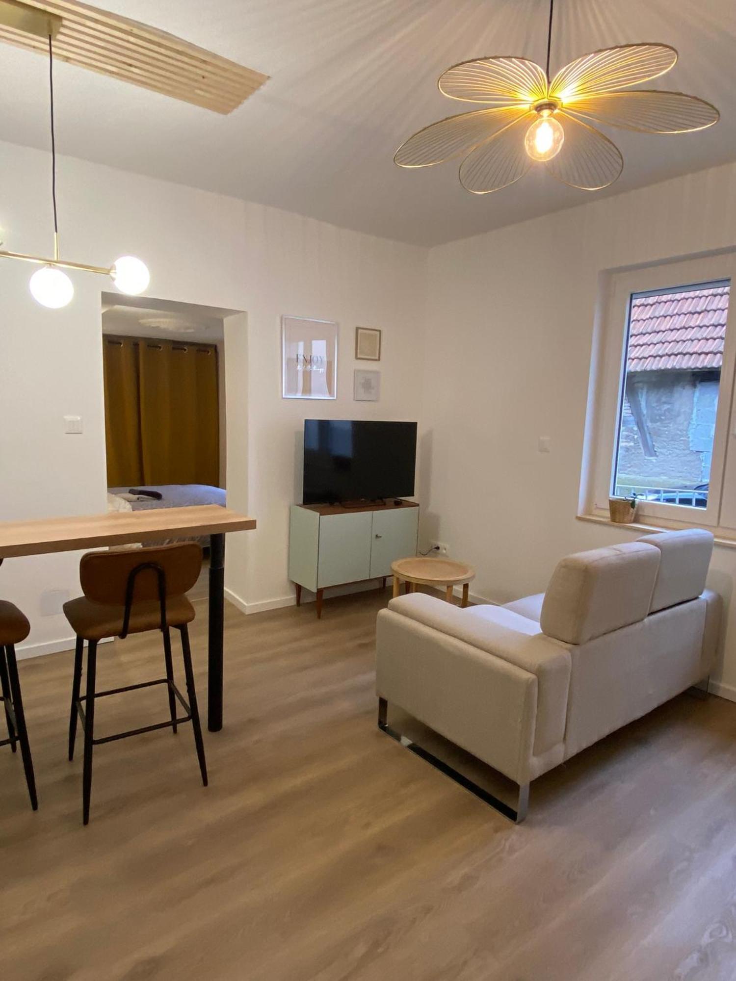 Appartement Cosy Soufflenheim المظهر الخارجي الصورة
